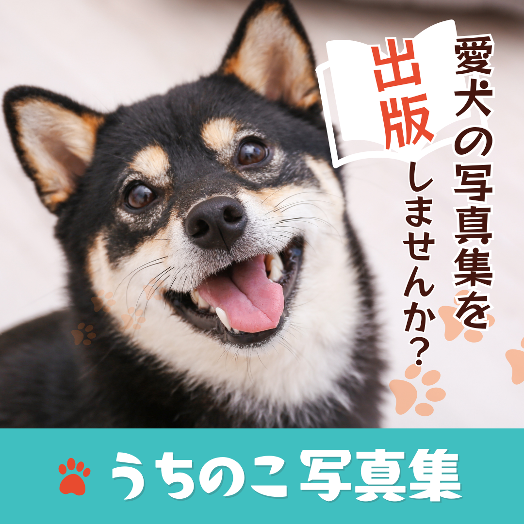 うちのコ写真集 出版サービス × ワンコnowa