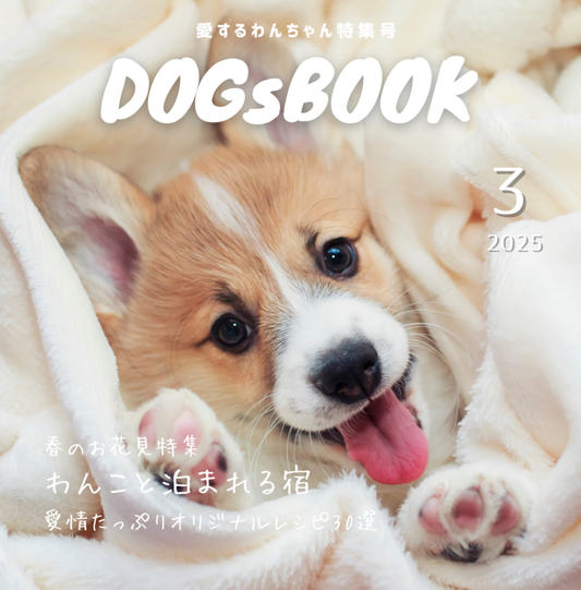 【KDP】Canvaで作れる!A4スクエア写真集テンプレート(62P)★奥付・表紙セット・本文デザイン付き★ペーパーバック&電子書籍対応